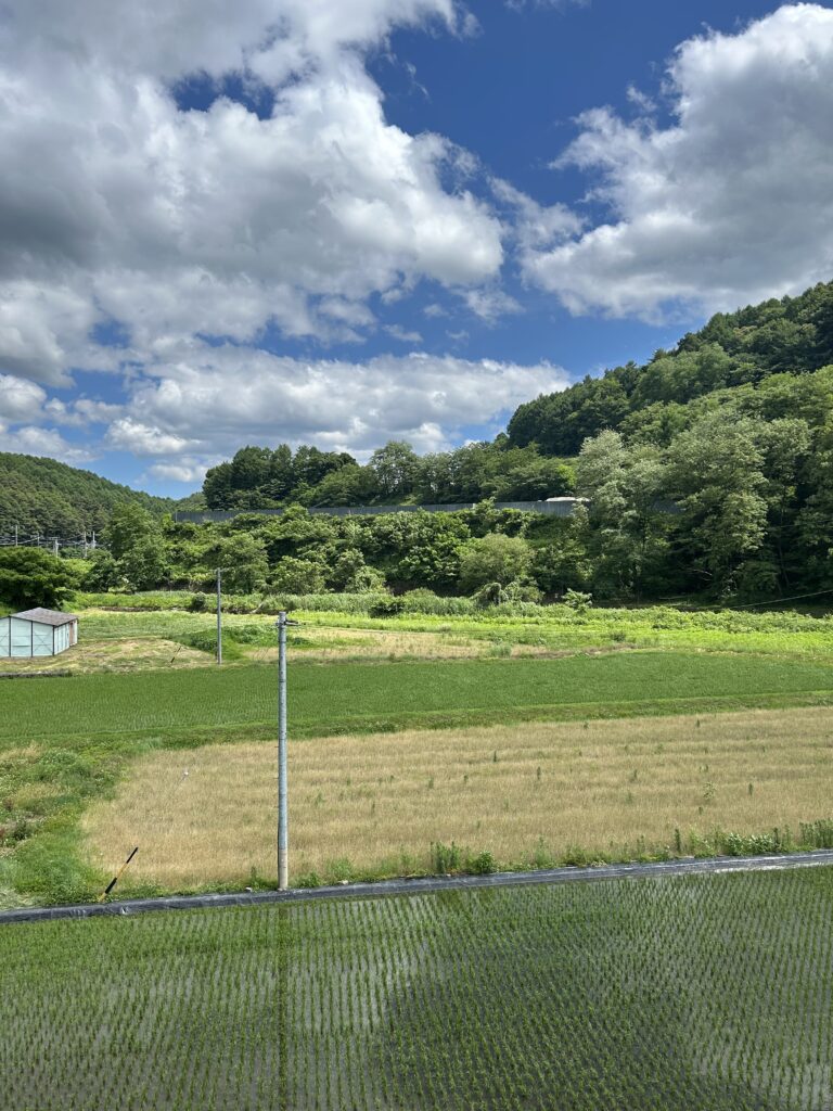 茅野の自然に囲まれたロケーション